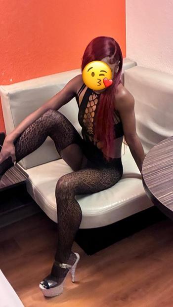 510-336-4334, 26  female escort, North Bay